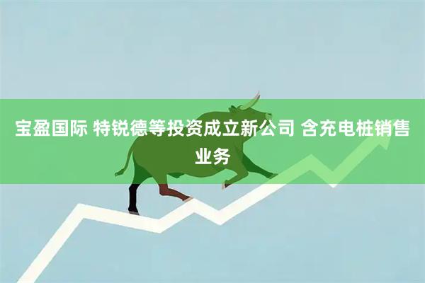 宝盈国际 特锐德等投资成立新公司 含充电桩销售业务